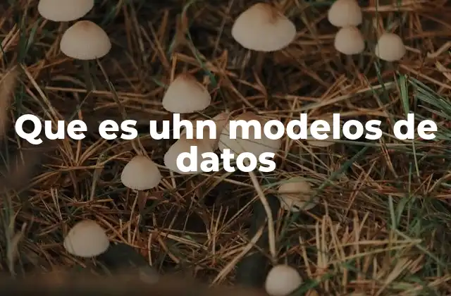 Que es Uhn Modelos de Datos