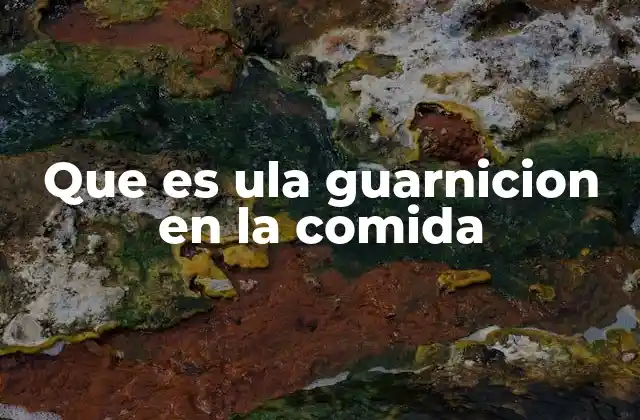 Que es Ula Guarnicion en la Comida