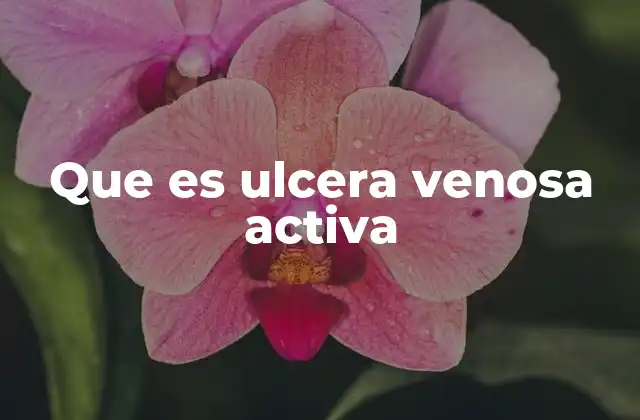 Que es Ulcera Venosa Activa