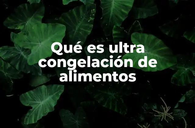 Qué es Ultra Congelación de Alimentos