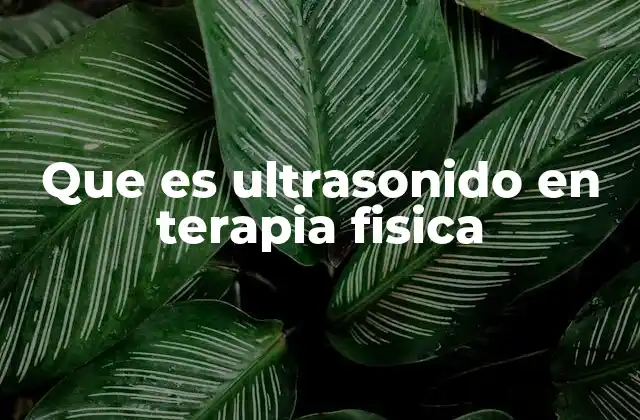 Que es Ultrasonido en Terapia Fisica