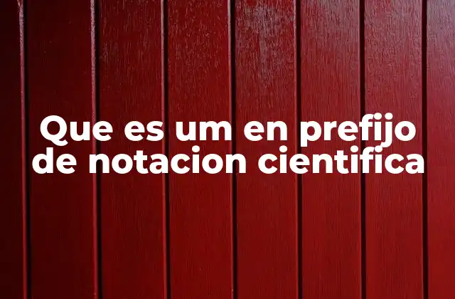 Que es Um en Prefijo de Notacion Cientifica