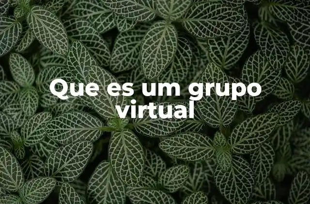 Que es Um Grupo Virtual