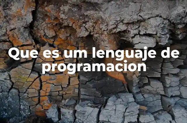 Que es Um Lenguaje de Programacion