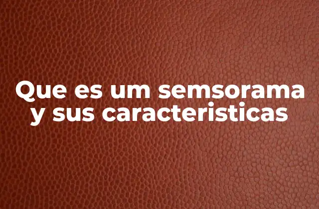 Que es Um Semsorama y Sus Caracteristicas