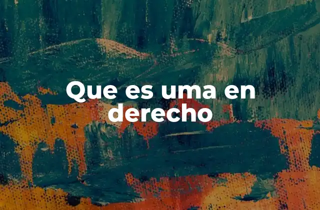 Que es Uma en Derecho 2 El rol de la UMA en el sistema legal y financiero