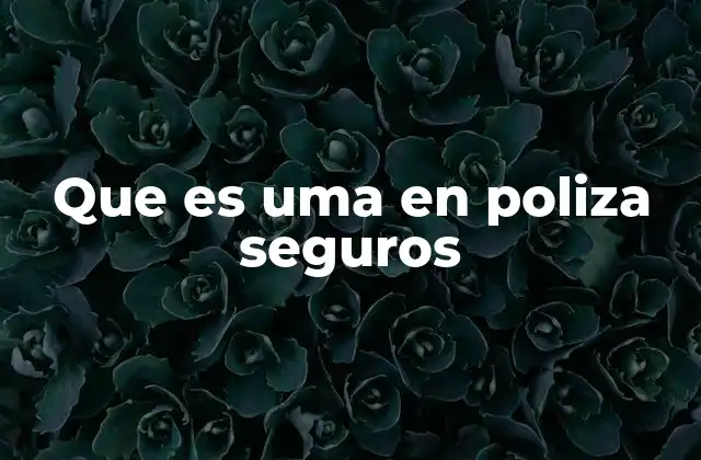 La importancia de la UMA en el contexto asegurador