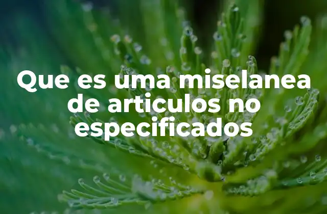 ¿Cómo se usa el concepto de artículos no especificados en contextos cotidianos?