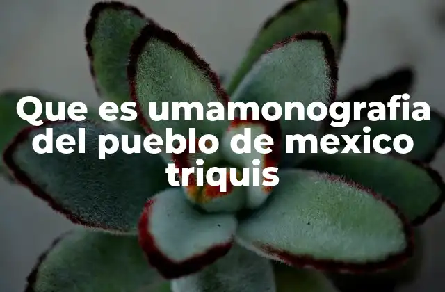 Que es Umamonografia Del Pueblo de Mexico Triquis