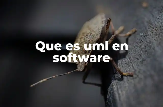 Que es Uml en Software