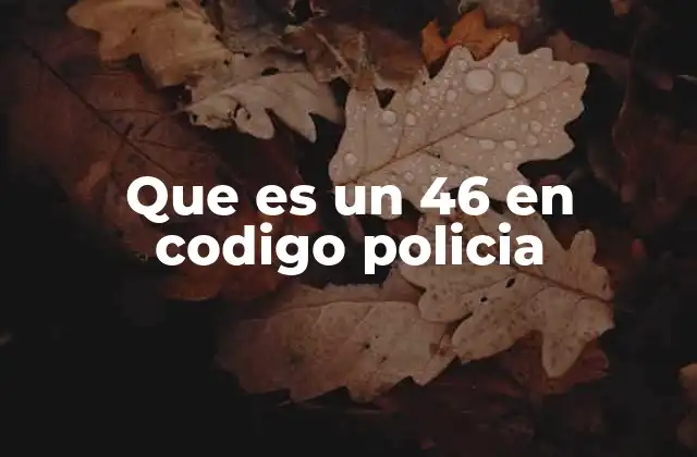 Que es un 46 en Codigo Policia