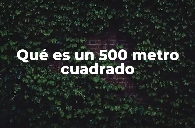 Qué es un 500 Metro Cuadrado