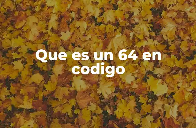 Que es un 64 en Codigo