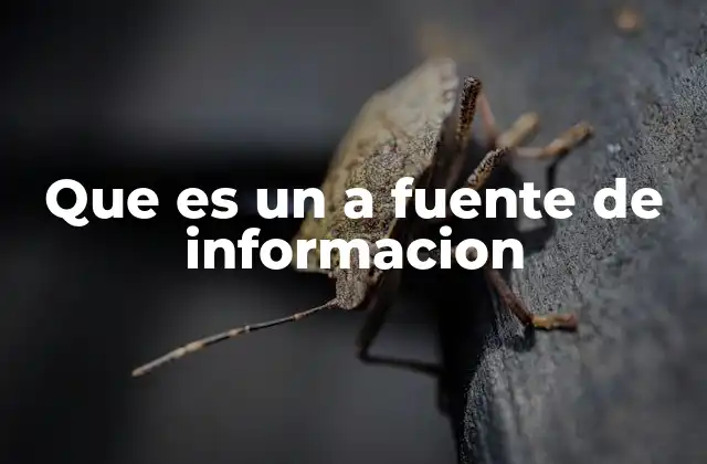 Que es un a Fuente de Informacion