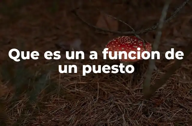 Que es un a Funcion de un Puesto