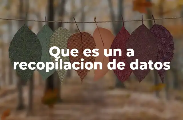 Que es un a Recopilacion de Datos