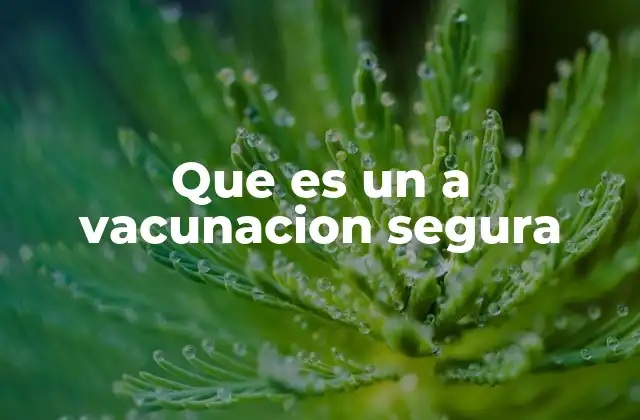 Que es un a Vacunacion Segura