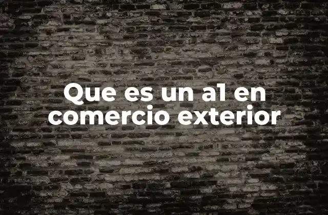 Importancia del Certificado A1 en operaciones internacionales