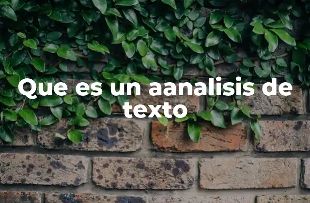 Que es un Aanalisis de Texto