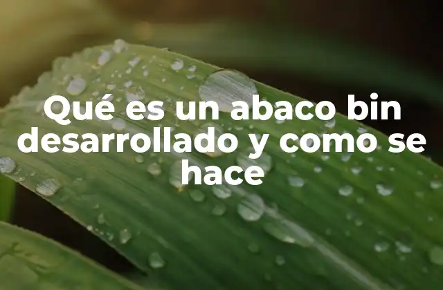 Qué es un Abaco Bin Desarrollado y como Se Hace