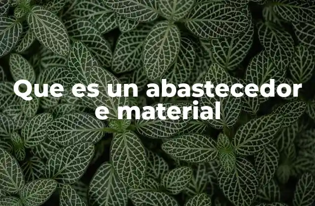 Que es un Abastecedor e Material