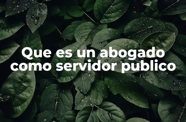 Que es un Abogado como Servidor Publico