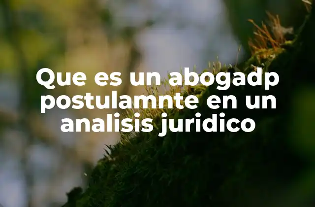 Que es un Abogadp Postulamnte en un Analisis Juridico