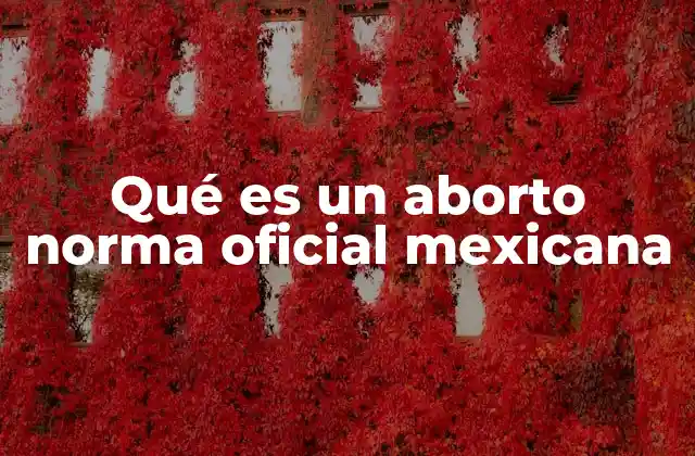 Qué es un Aborto Norma Oficial Mexicana