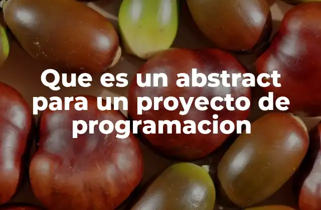 Que es un Abstract para un Proyecto de Programacion