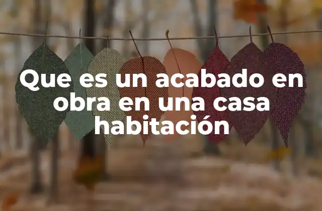 Que es un Acabado en Obra en una Casa Habitación