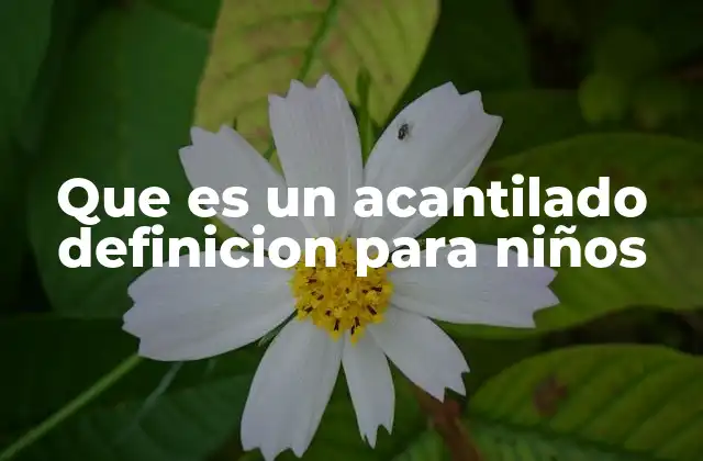 Que es un Acantilado Definicion para Niños