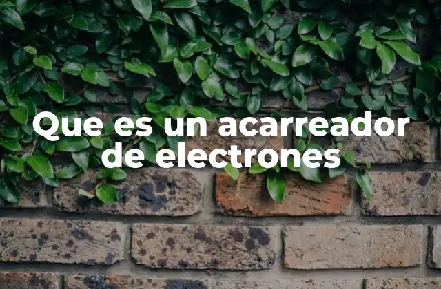 Que es un Acarreador de Electrones