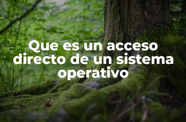 Que es un Acceso Directo de un Sistema Operativo 2 Cómo funcionan los accesos directos en el sistema operativo