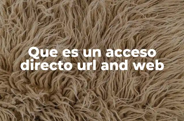 Que es un Acceso Directo Url And Web