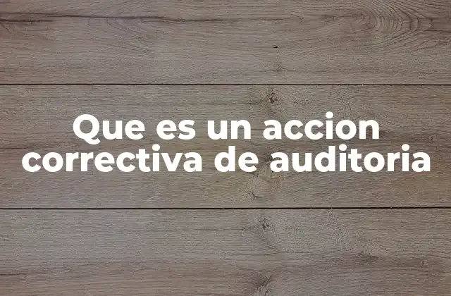 Que es un Accion Correctiva de Auditoria