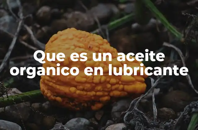 Que es un Aceite Organico en Lubricante