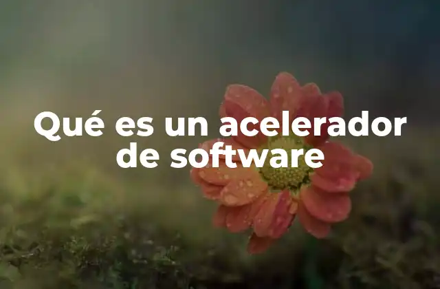 Qué es un Acelerador de Software