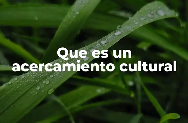 Que es un Acercamiento Cultural