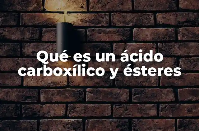 Qué es un Ácido Carboxílico y Ésteres