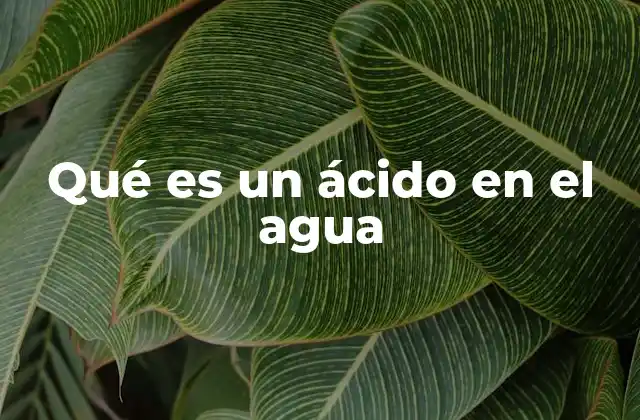 Qué es un Ácido en el Agua