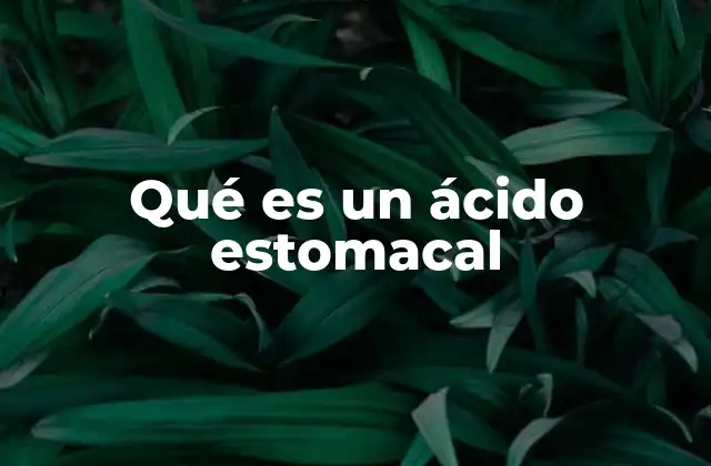 Qué es un Ácido Estomacal 2 El papel del ácido estomacal en el proceso digestivo