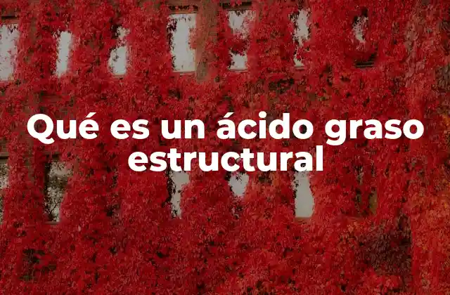 Qué es un Ácido Graso Estructural