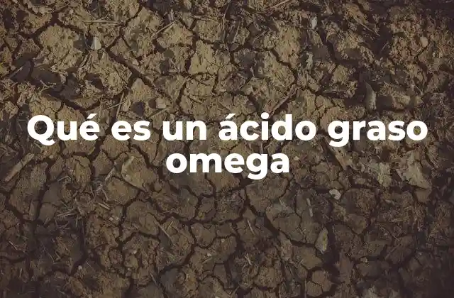 Qué es un Ácido Graso Omega 2 La importancia de los ácidos grasos omega en la nutrición moderna