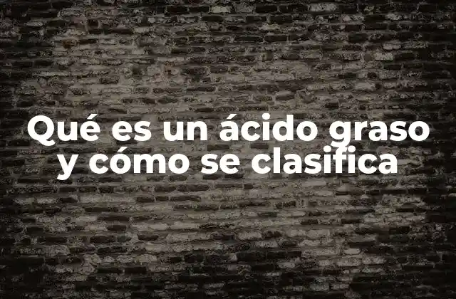 Qué es un Ácido Graso y Cómo Se Clasifica