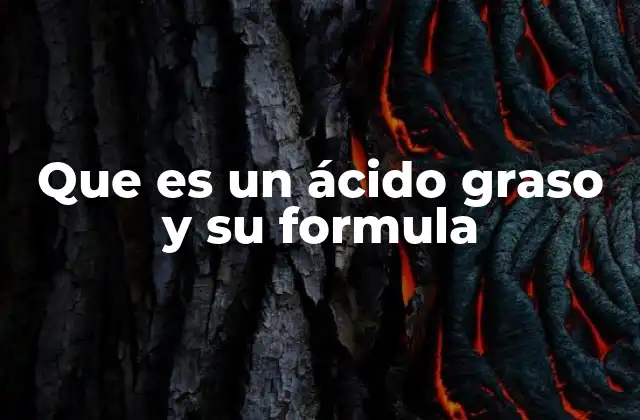 Que es un Ácido Graso y Su Formula