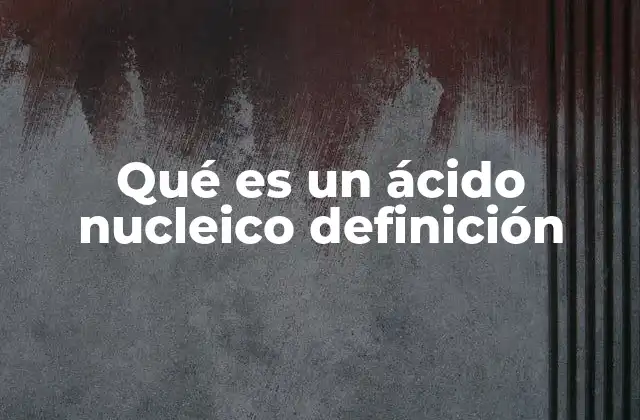 Qué es un Ácido Nucleico Definición