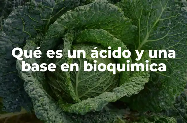 Qué es un Ácido y una Base en Bioquimica