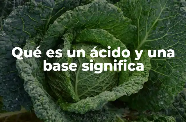 Qué es un Ácido y una Base Significa