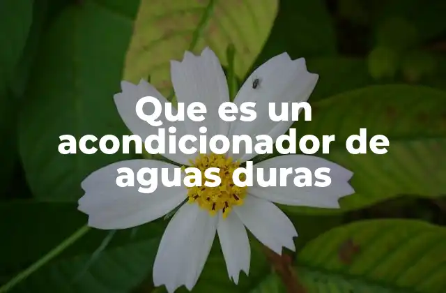 Cómo el acondicionamiento del agua mejora la eficiencia energética