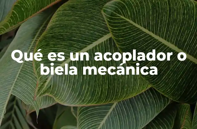 Qué es un Acoplador o Biela Mecánica